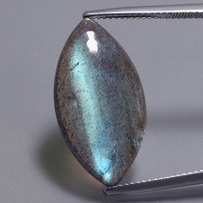 Labradorite multicolore naturelle marquise, 12,31 ct, translucide
