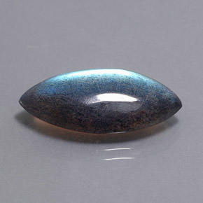 Labradorite multicolore naturelle marquise, 12,31 ct, translucide