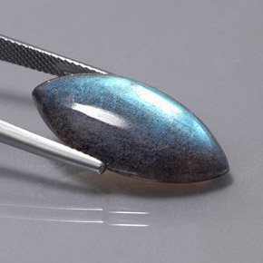 Labradorite multicolore naturelle marquise, 12,31 ct, translucide