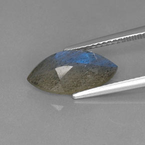 Labradorite Éclat Bleu Gris naturelle Marquise, 2.70 ct, Translucide