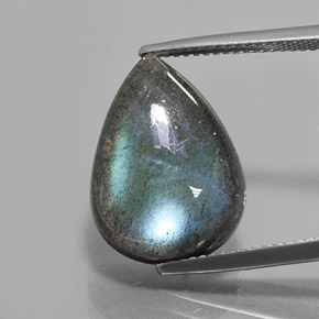 Labradorite Multicolore naturelle En forme de poire, 10.49 ct, Translucide