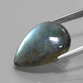 Labradorite Multicolore naturelle En forme de poire, 12.79 ct, Translucide