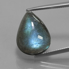 Labradorite Multicolore naturelle En forme de poire, 12.61 ct, Translucide
