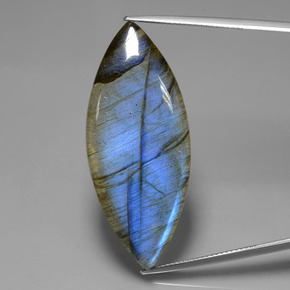 Labradorite bleue naturelle marquise, 36,89 ct, transparent