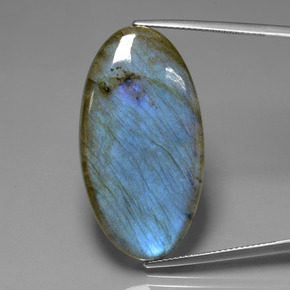 Labradorite bleue naturelle coupe ovale, 33,63 ct, transparent