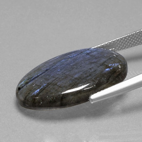 Labradorite bleue naturelle coupe ovale, 16,81 ct, transparent
