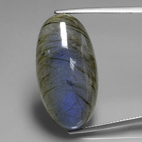 Labradorite Éclat Bleu Gris naturelle Coupe ovale, 32.48 ct, Transparent
