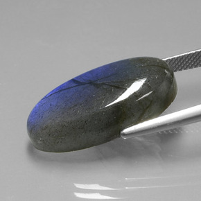 Labradorite bleue naturelle coupe ovale, 19,57 ct, transparent