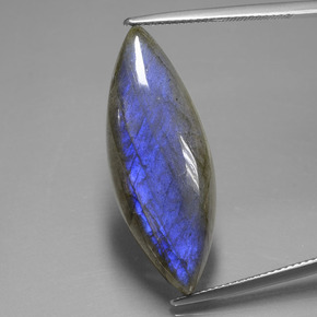 Labradorite Éclat Bleu Gris naturelle Marquise, 18.92 ct, Transparent