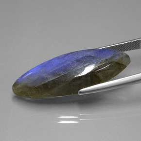 Labradorite Éclat Bleu Gris naturelle Marquise, 18.92 ct, Transparent