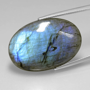 Labradorite Éclat Bleu Gris naturelle Coupe ovale, 25.87 ct, Transparent