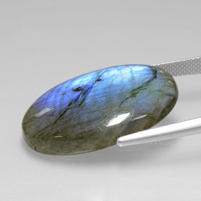 Labradorite Éclat Bleu Gris naturelle Coupe ovale, 25.87 ct, Transparent