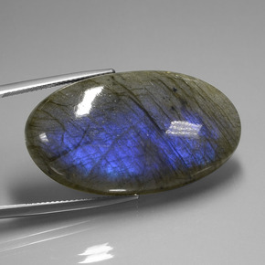 Labradorite bleue naturelle coupe ovale, 58,44 ct, transparent
