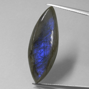 Labradorite bleue naturelle marquise, 18,92 ct, transparent