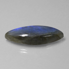 Labradorite bleue naturelle marquise, 18,92 ct, transparent
