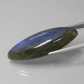 Labradorite bleue naturelle marquise, 18,92 ct, transparent