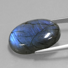 Labradorite bleue naturelle coupe ovale, 20,59 ct, transparent