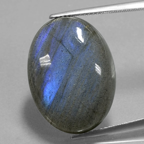 Labradorite Éclat Bleu Gris naturelle Coupe ovale, 21.99 ct, Transparent