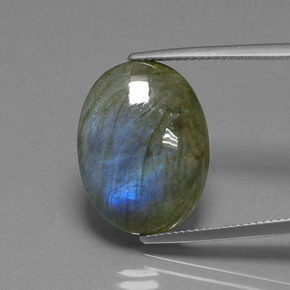 Labradorite Éclat Bleu Gris naturelle Coupe ovale, 15.85 ct, Translucide