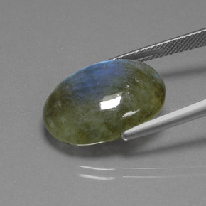 Labradorite Éclat Bleu Gris naturelle Coupe ovale, 15.85 ct, Translucide