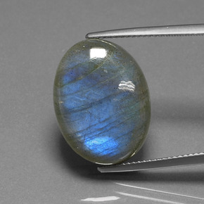 Labradorite bleue naturelle coupe ovale, 16,93 ct, translucide