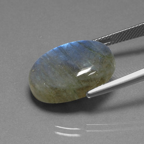 Labradorite bleue naturelle coupe ovale, 16,93 ct, translucide