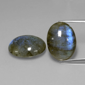 Achetez naturel ct bleue labradorite gems, coupe ovale, en provenance madagascar chez gemselect. en stock, livraison internationale!