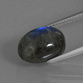 Labradorite bleue naturelle coupe ovale, 5,60 ct, translucide