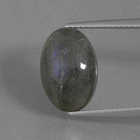 Labradorite Éclat Bleu Gris naturelle Coupe ovale, 5.82 ct, Translucide
