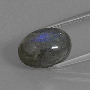 Labradorite Éclat Bleu Gris naturelle Coupe ovale, 5.82 ct, Translucide