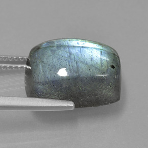 Labradorite bleue naturelle coupe coussin, 9,96 ct, translucide