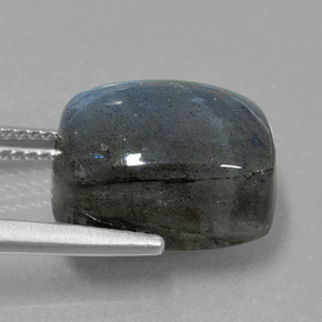 Labradorite bleue naturelle coupe coussin, 10,66 ct, translucide
