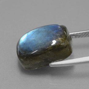 Labradorite Éclat Bleu Gris naturelle Coupe coussin, 9.75 ct, Translucide
