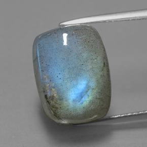 Labradorite bleue naturelle coupe coussin, 10,87 ct, translucide