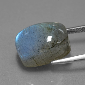 Labradorite bleue naturelle coupe coussin, 10,87 ct, translucide