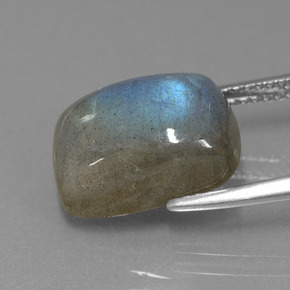 Labradorite Éclat Bleu Gris naturelle Coupe coussin, 7.88 ct, Translucide