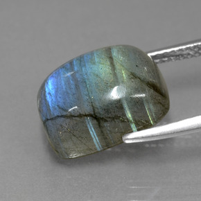 Labradorite Éclat Bleu Gris naturelle Coupe coussin, 9.03 ct, Translucide