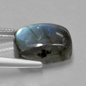 Labradorite Éclat Bleu Gris naturelle Coupe coussin, 9.42 ct, Translucide