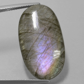 Labradorite Éclat Bleu Gris naturelle Coupe ovale, 18.41 ct, Translucide