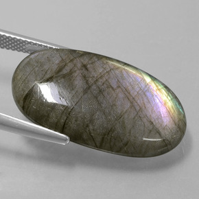 Labradorite Éclat Bleu Gris naturelle Coupe ovale, 18.41 ct, Translucide