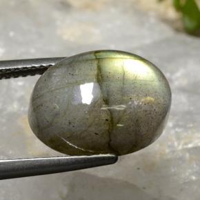 Labradorite multicolore naturelle coupe ovale, 8,48 ct, translucide