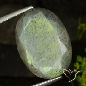Labradorite Multicolore naturelle ovale, 14.58 ct, Translucide