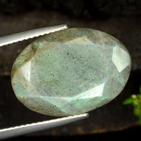 Labradorite multicolore naturelle coupe ovale, 10,36 ct, translucide