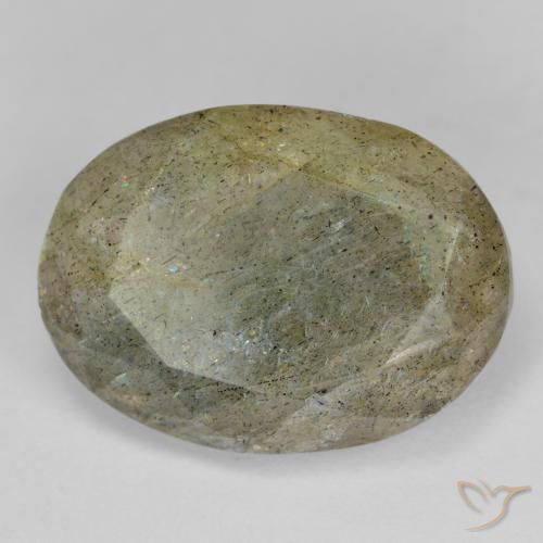 Labradorite Multicolore naturelle ovale, 11.84 ct, Translucide