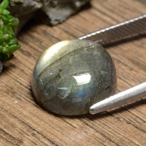 Labradorite multicolore naturelle coupe roude, 11,06 ct, translucide