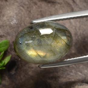 Labradorite multicolore naturelle coupe ovale, 9,03 ct, translucide