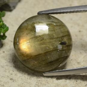 Labradorite multicolore naturelle coupe roude, 9,74 ct, translucide