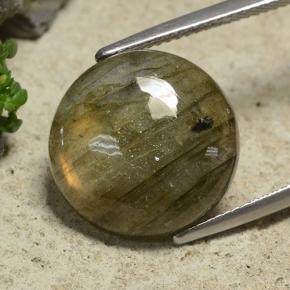 Labradorite multicolore naturelle coupe roude, 9,74 ct, translucide