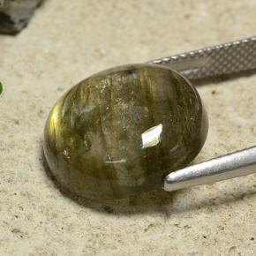 Labradorite multicolore naturelle coupe roude, 9,74 ct, translucide