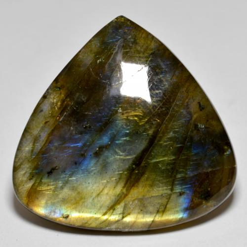 Labradorite Multicolore naturelle En forme de poire, 40.46 ct, Opaque